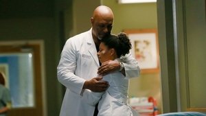 Grey’s Anatomy 11 episodio 16