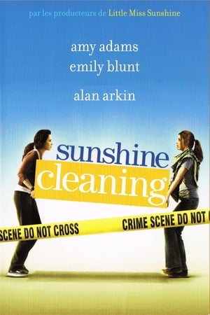 Poster Sunshine Cleaning 2008