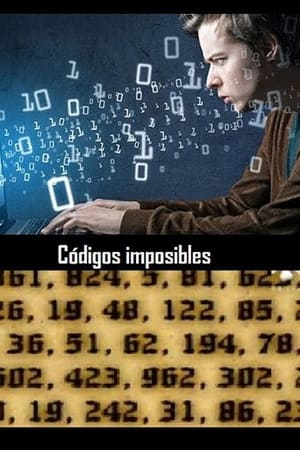 Poster Code Breakers (2008)