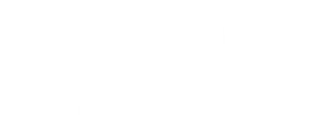 Ảnh 191