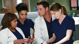 Grey’s Anatomy 11 x Episodio 10