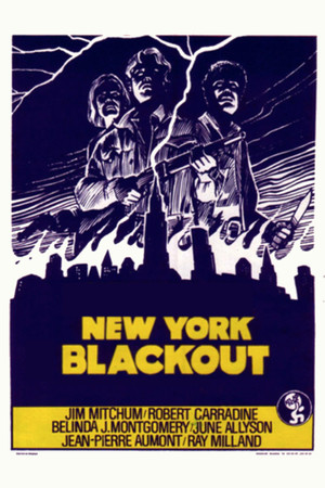 Blackout 12