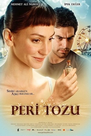 Poster Peri Tozu 2008