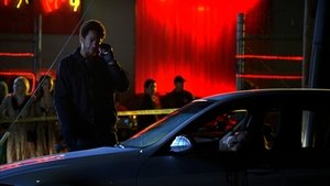 CSI: Crime Scene Investigation: 8×14