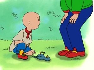 Caillou Caillou's Getting Older!