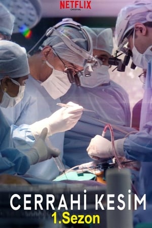 The Surgeon's Cut: Staffel 1