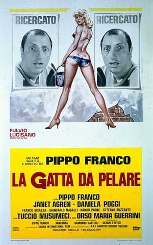 Poster La gatta da pelare (1981)