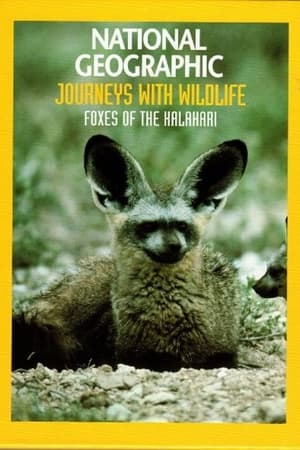 Image Foxes Of The Kalahari