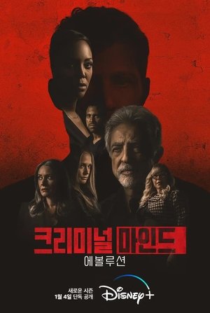 Poster 크리미널 마인드 2005