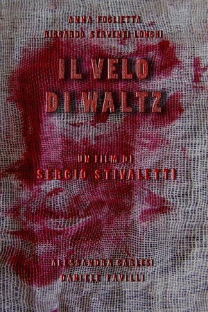 Poster Il velo di Waltz 2009