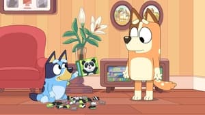 Bluey: 3×4