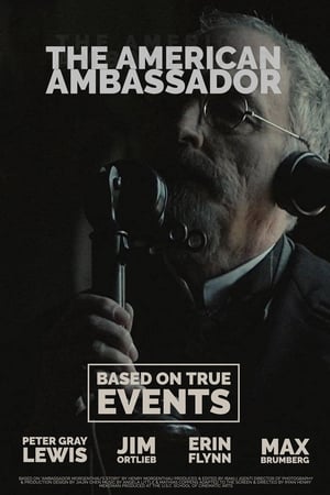 The American Ambassador streaming