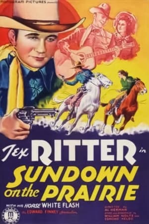 Sundown on the Prairie poster