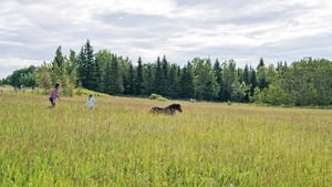 Heartland – Paradies für Pferde: 10×9