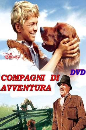 Image Compagni d'avventura