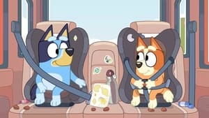 Bluey: 2×21