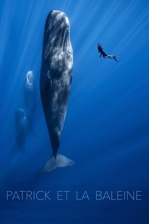Image Patrick et la baleine