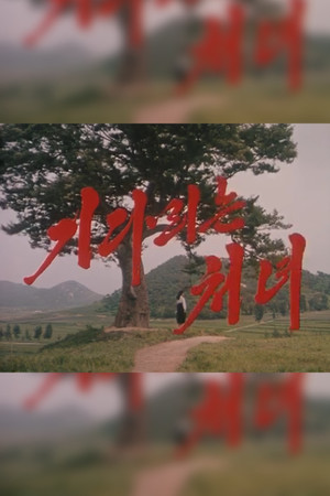 The Long Awaited Girl (2001)