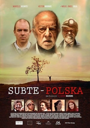 Poster Subte: Polska 2016