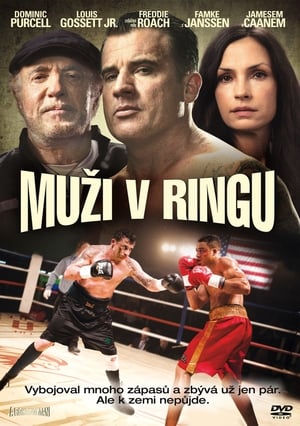 Muži v ringu