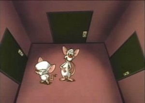 Pinky & der Brain: 2×13