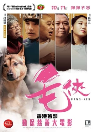 Poster 毛俠 2018