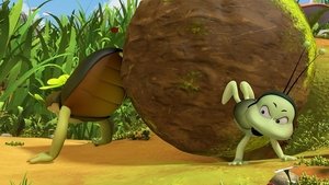 Maya the Bee Dung Ball Drama