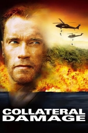 Poster Collateral Damage (2002)