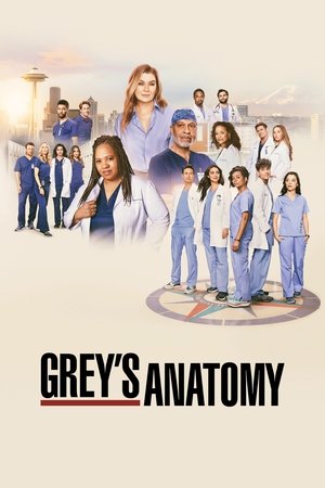 poster Grey's Anatomy