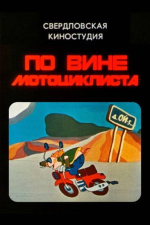 По вине мотоциклиста