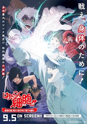 Poster Hataraku Saibou!!: Saikyou no Teki, Futatabi. Karada no Naka wa "Chou" Oosawagi! 2020