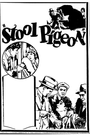 Stool Pigeon 1928