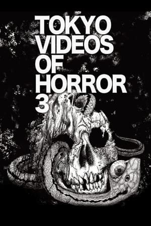 Poster Tokyo Videos of Horror 3 (2012)