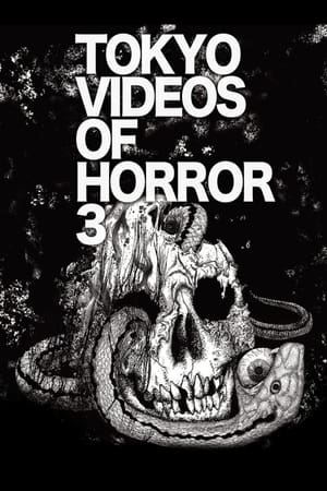 Image Tokyo Videos of Horror 3