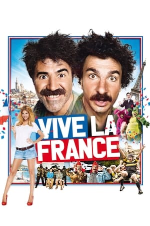Poster Vive la France 2013
