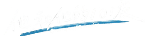 他和他的101夜