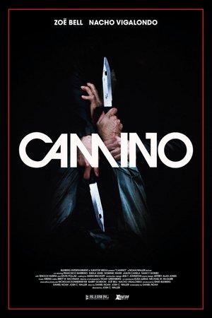 Camino Camino