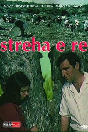 Poster Streha e re 1977