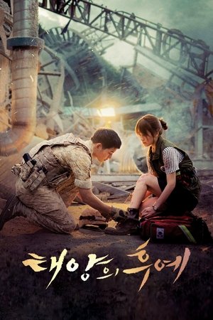 Image 태양의 후예