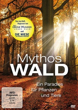 Image Mythos Wald