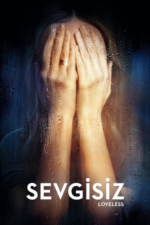 Sevgisiz 2017