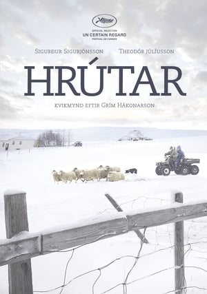 Hrútar