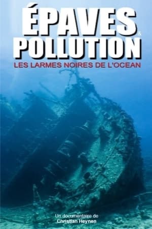 Image Épaves et pollution, les larmes noires de l'océan