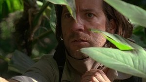 Lost: 2×24