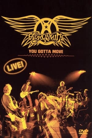 Poster Aerosmith - You Gotta Move (2004)