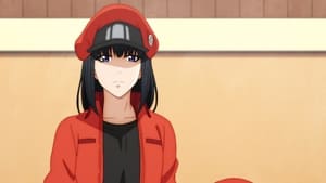 Cells at Work!: 2×1