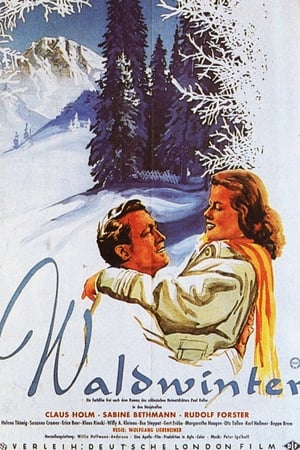 Poster Waldwinter 1956