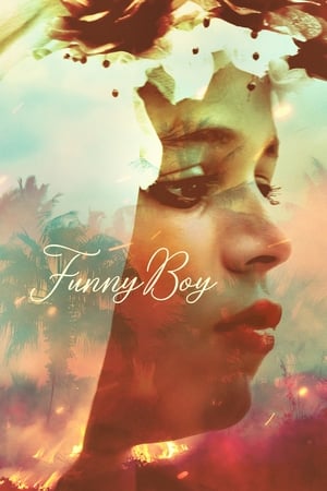 Poster Funny Boy (2020)