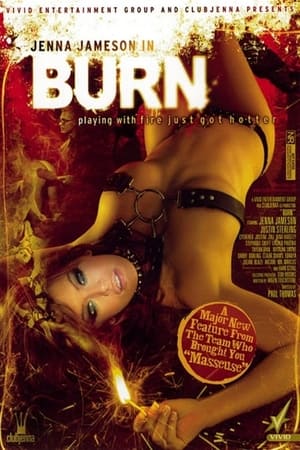 Poster Burn 2008