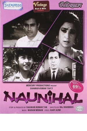 Naunihal poster